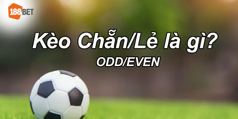 cá chẵn lẻ thể thao